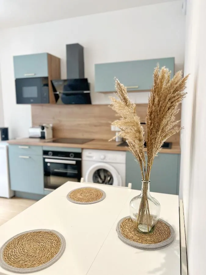 Apartamento Le Pique De Falguiere - Centre - Gare - Netflix Toulouse